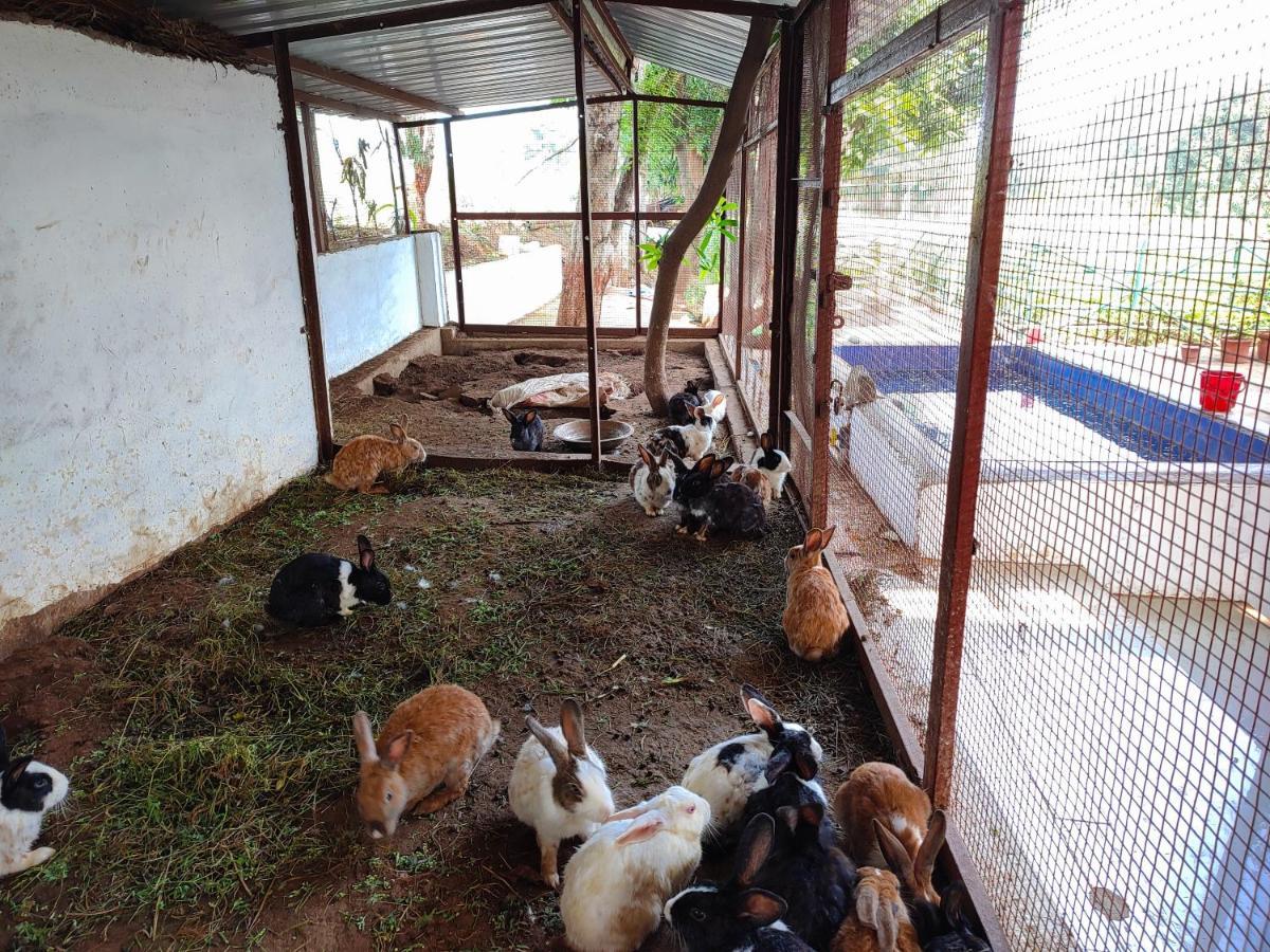 V J Farmstay Garudeshwar Bagian luar foto