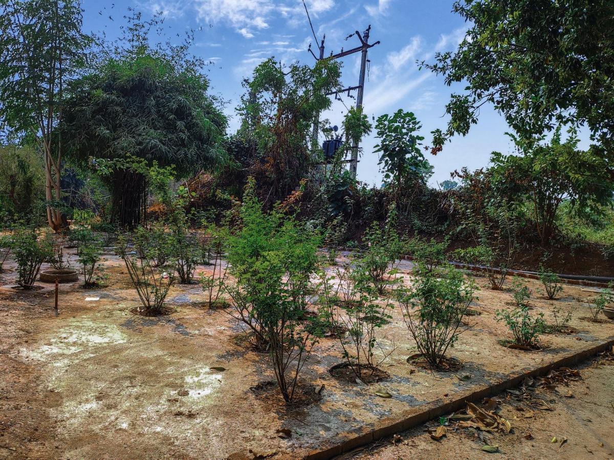 V J Farmstay Garudeshwar Bagian luar foto